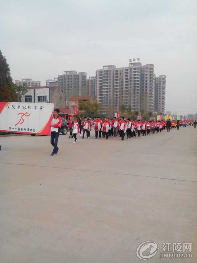 mmexport1415757254637.jpg