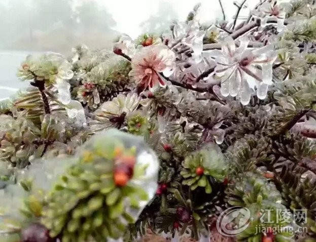 0 (22).jpg