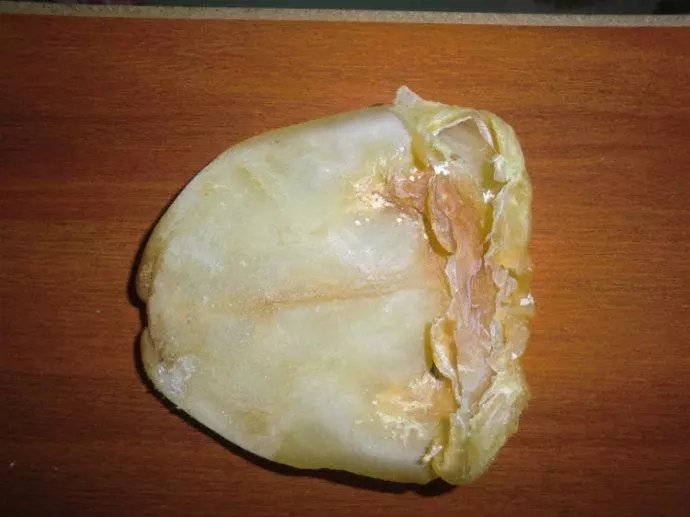640.webp (42).jpg