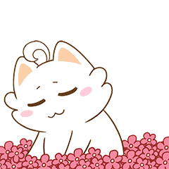 640.gif