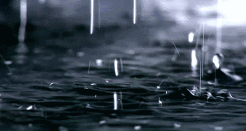 640 (1).gif