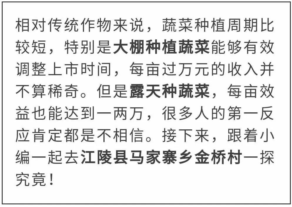 640.webp (8).jpg