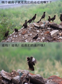 ˸粻M߀w|(zh)r(ji)ߣ(qing)Ҫ_(ki)l(f)XX