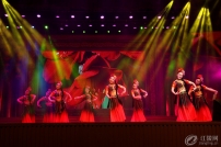 G2015܊ӭ(lin)g֮赸ʲô@Ӽt