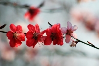 GTѻӿ(dng)